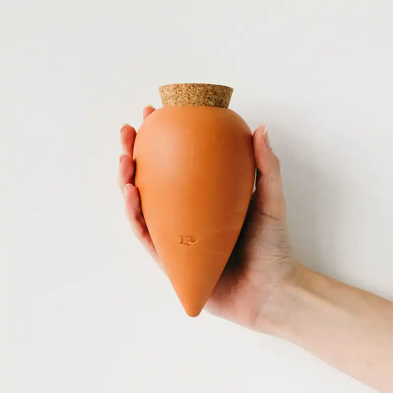 Olla pepin terracotta
