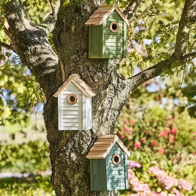 Nichoir vert en bois