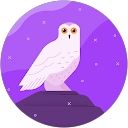 Gladys M. profile picture