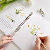 Carnet aquarelle printemps