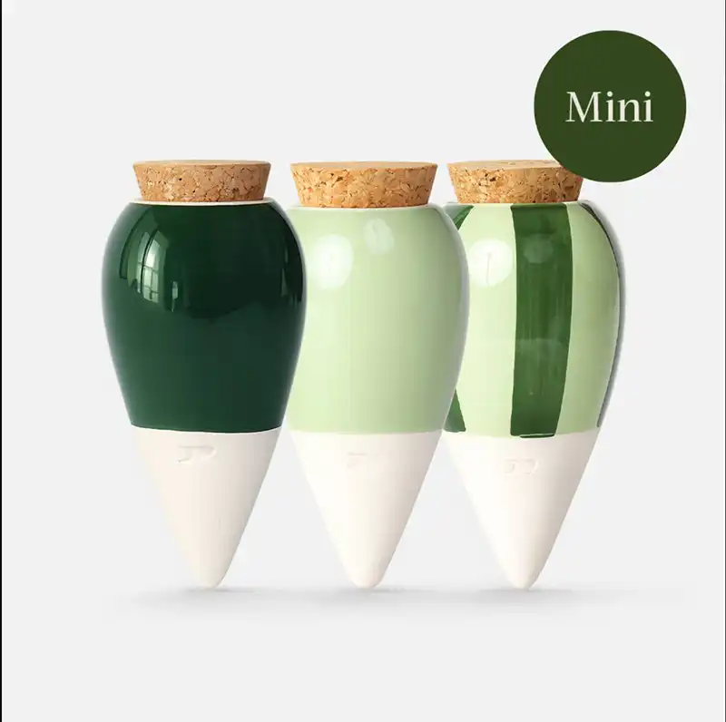 Mini ollas vertes Pépin
