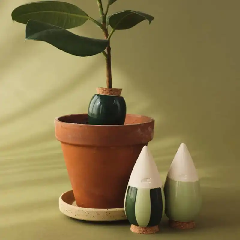 Mini ollas vertes Pépin